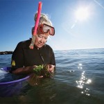 Dr. Anitra Thorhaug, at long island. Studies the Seagrasses and Water