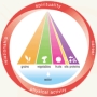 Integrative Nutrition Pyramid